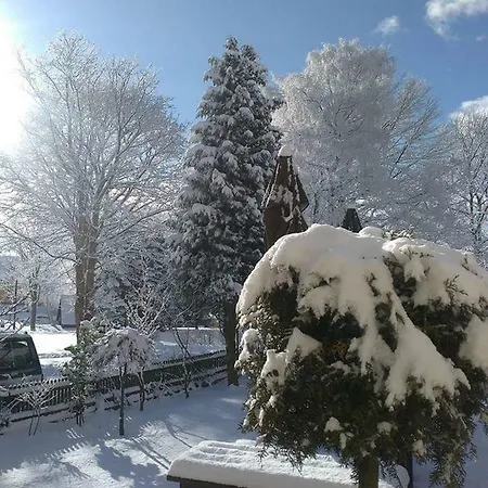 Penzion Blatno ゲストハウス Blatno